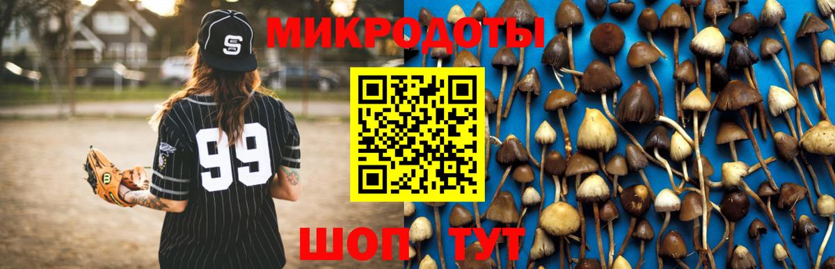 Псилоцибиновые грибы ЛСД  Вход с VPN  купить наркотики сайты  Ейск  Галлюциногенные грибы мухоморы 