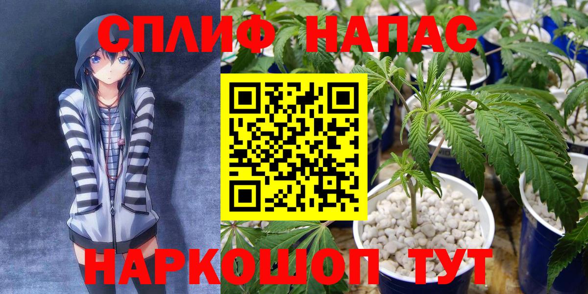 Каннабис ГИДРОПОН  Канабис SATIVA & INDICA  Ейск  Вход с VPN  Шишки марихуана марихуана 